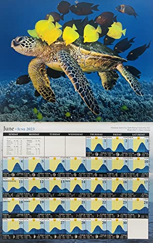 Long's 2023 Hawaii Tide and Moon Phase Hawaiian Twelve Month Calendar
